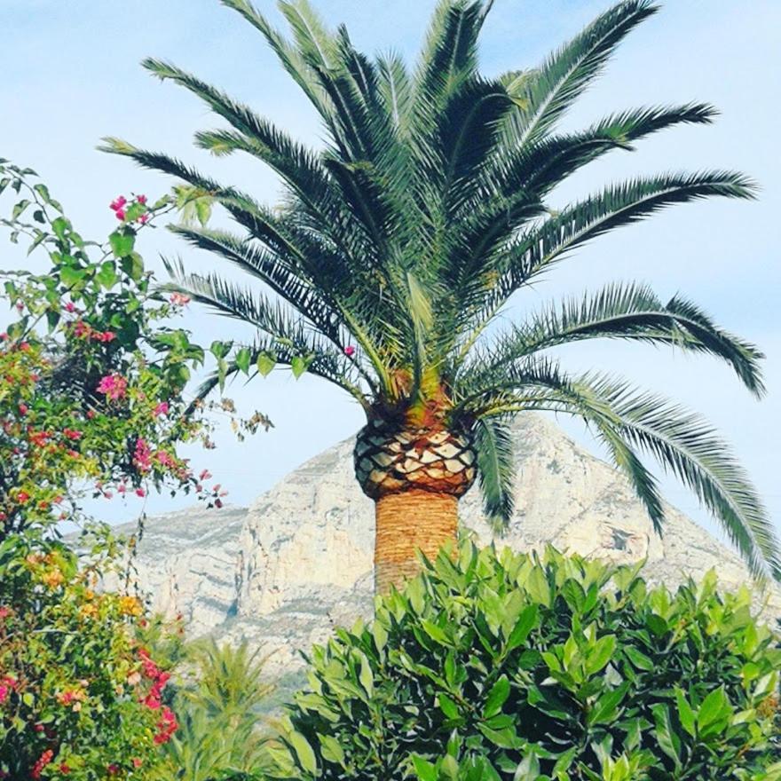 Apartment Paca Jávea Exterior foto